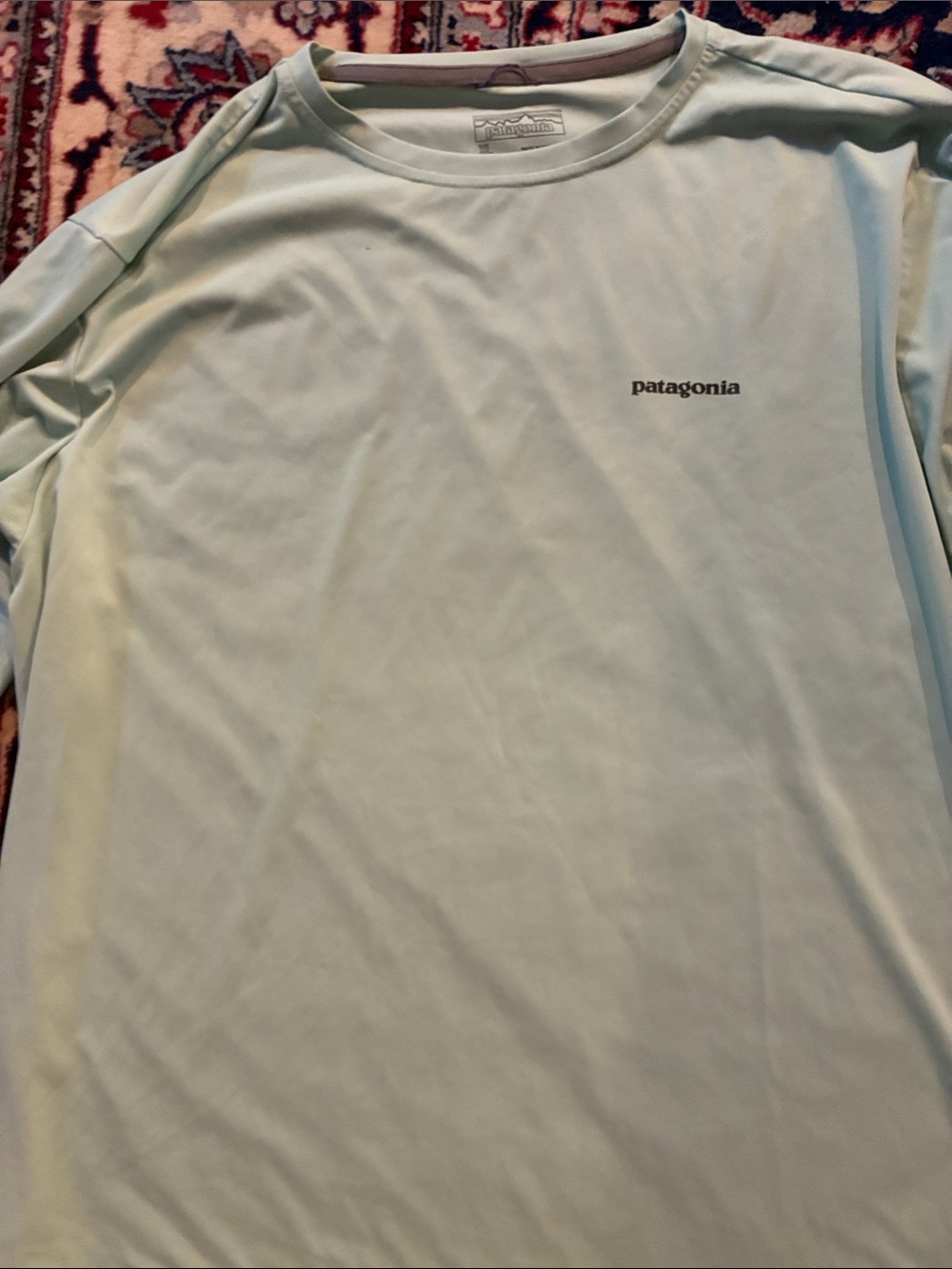 Patagonia Long-Sleeve Crew in Pale Blue